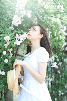 ANGELINA全集在线播放